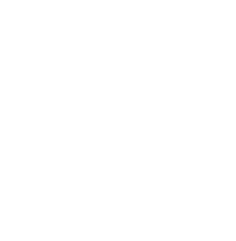 Brooklyn Nets